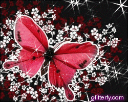 8853_butterfly2.gif