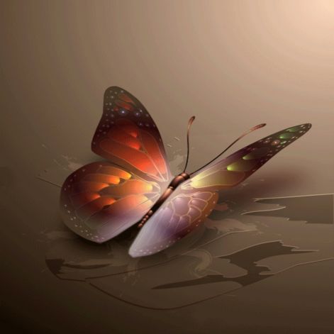 beautiful-butterfly-brown-pattern.jpg