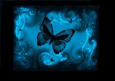 beauty-butterfly-aqua-blue.jpg