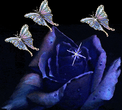 blue-butterfly-sparkling-cute.gif