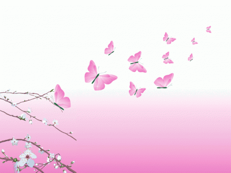 butterfly-beauty-pink-design.gif