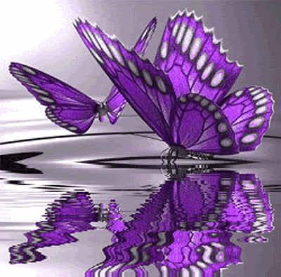 butterfly22.gif