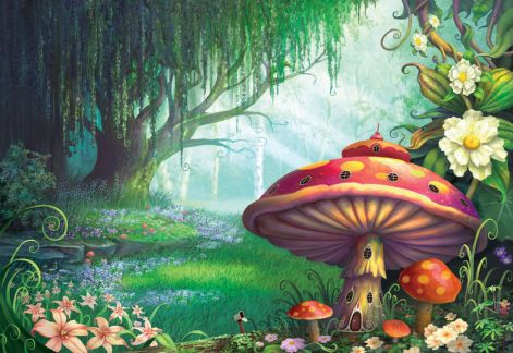 enchanted-mushroom-forest-fantasy.jpg