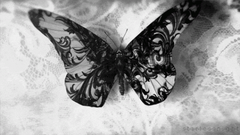 gifs-animation-butterfly-black-and-white.gif