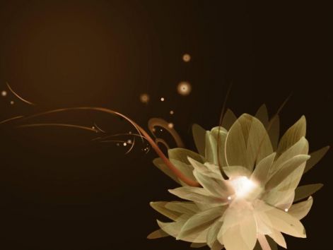 lotus-fantasy-floral-design-31000.jpg